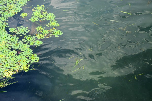 行业干货：防水防油剂应用加工常见问题及处理对策（上）
